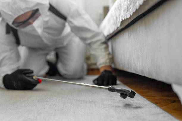 Professional Ant Control technician working in Lac du Flambeau, WI