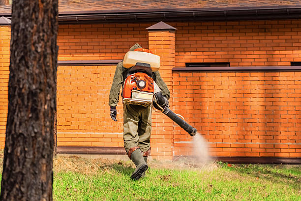 Trusted Emergency Pest Control service in Lac du Flambeau, WI - Nex Pest Control